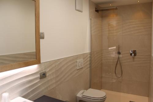 y baño con ducha, aseo y espejo. en Relais Dolomiti, en Bedollo