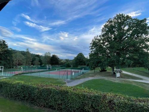 una pista de tenis con dos raquetas de tenis en Gite le3chênes, en Remoncourt