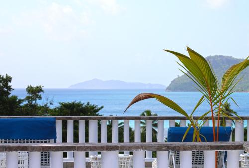 a white fence with a palm tree and the ocean at Ocean Blue Bay in Anse Volbert Village