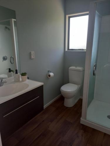 La salle de bains est pourvue de toilettes, d'un lavabo et d'une douche. dans l'établissement MAGNOLIA COTTAGE, à Waikanae