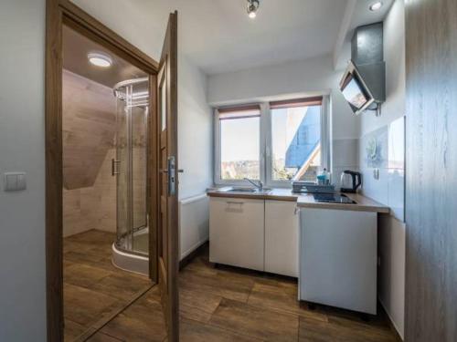a bathroom with a shower and a sink and a counter at Pokoje i apartamenty Wierchy Zakopane in Zakopane
