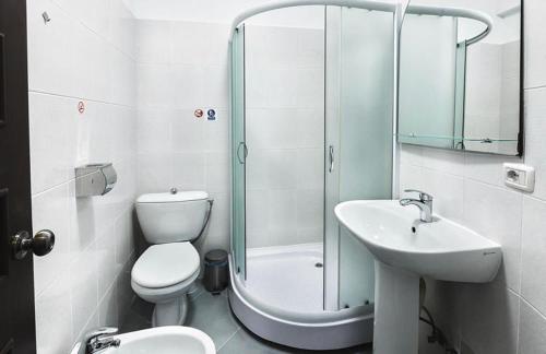 ein Bad mit einem WC, einem Waschbecken und einer Dusche in der Unterkunft Cozy, comfortable apartments ismail !!! in Chişinău