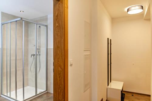 a bathroom with a shower and a glass door at Apartement Bens Auszeit Top 6 in Umhausen