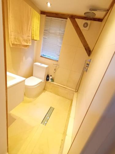 a bathroom with a toilet and a sink at Little Oak - Double (Kingsize) Self Contained Oak Studio - Sleeps 2 in Chiddingfold