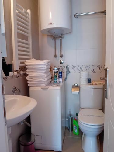 Koupelna v ubytování WING 3 apartman ,,BC ,,
