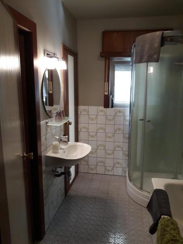 a bathroom with a sink and a shower at Wenceslas Cobergher IV in Bertem