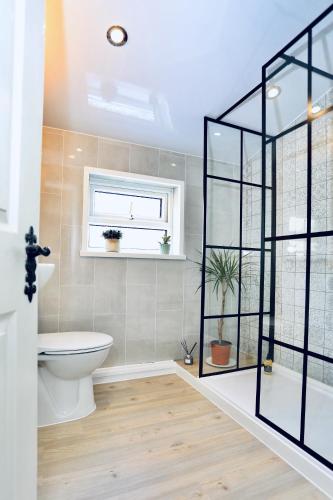 a bathroom with a toilet and a window at Caboodles Cottage in Crickhowell