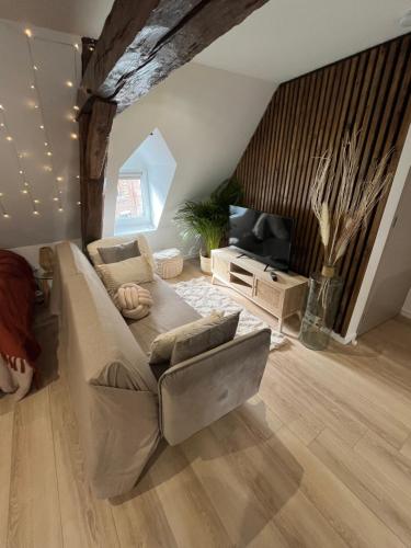 ein Wohnzimmer mit einem Sofa und einem TV in der Unterkunft Appartement cocooning in Solre-le-Château