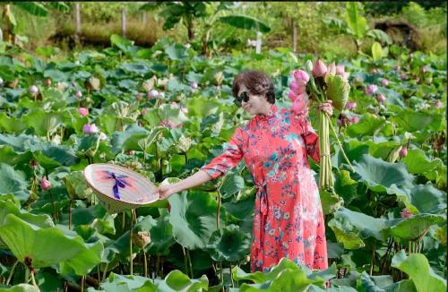 a woman holding a basket in a field of plants at Ninh Binh Royal Homestay in Ninh Binh