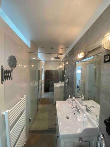 une salle de bain avec un lavabo blanc et une douche dans l'établissement Rare ! LOFT Atypique Centre-Ville Parking Jardin, à Reims