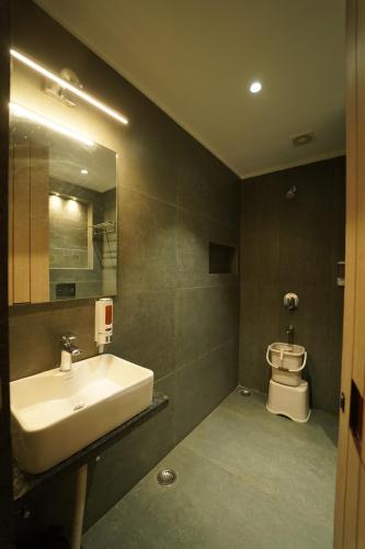 賴布爾的住宿－HOTEL LAKSH，一间带水槽和卫生间的浴室