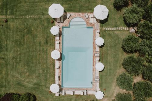 an overhead view of a pool in a field at Il Giardino Degli Ulivi in Cortona
