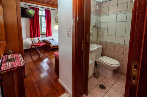 uma casa de banho com um WC e uma banheira em Timfea Chalet em Tsepelovo