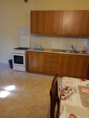a kitchen with a stove and a sink and a table at Agriturismo Lucchetta in Reggiolo