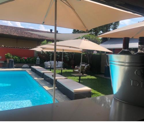 - une piscine avec des parasols et des chaises longues dans l'établissement B&B Villa la Canonica a Padernello, 