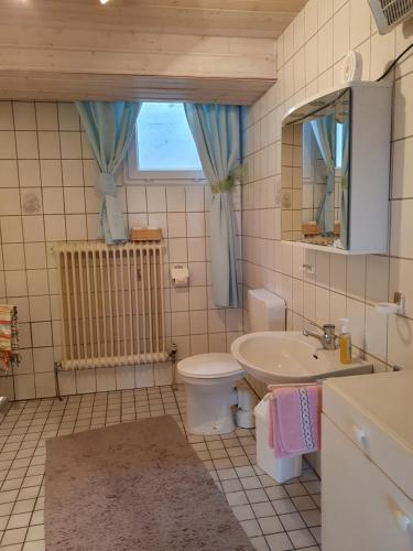 uma casa de banho com um lavatório, um WC e uma janela. em Urlaubsruhe em Freudenberg