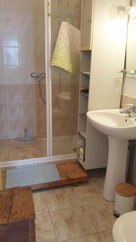 une salle de bain avec douche et lavabo dans l'établissement Balade en estuaire, à Nieulle-sur-Seudre