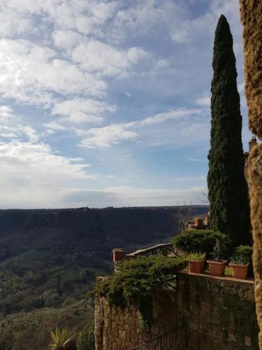 a stone wall with plants and trees on it at il sogno di Civita in Civita di Bagnoregio