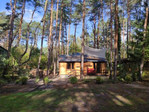 a small cabin in the woods with a tent at Dom w lesie nad rzeką z komnkiem in Mlądz