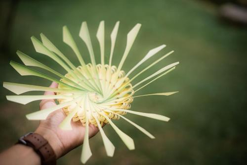 タバナンにあるBali Palmsのギャラリーの写真