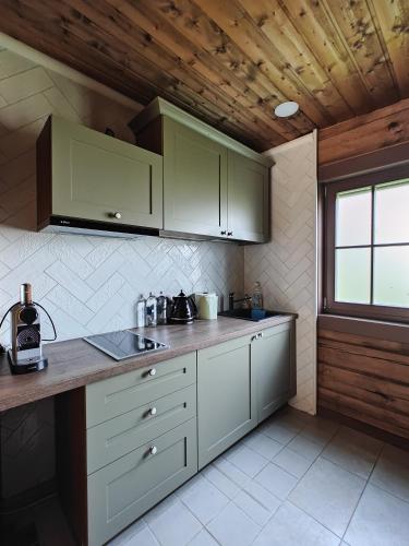 a kitchen with green cabinets and a counter top at Sala Resort Plateliai & SPA in Plateliai