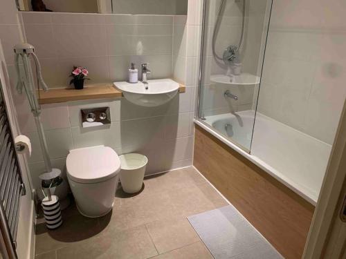 a bathroom with a toilet and a sink and a shower at 2 Bedrooms Apartment In RG Centre in Reading