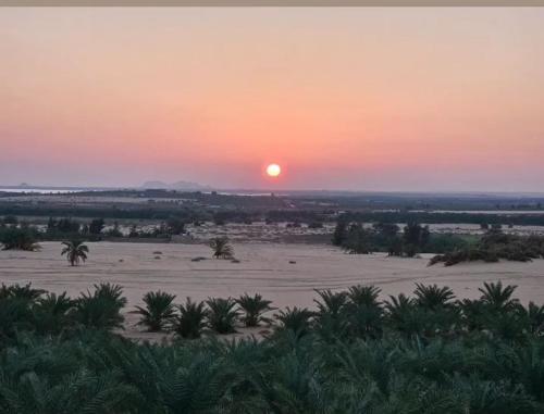 a sunset over a desert with palm trees in a field at Beit Dina in Siwa