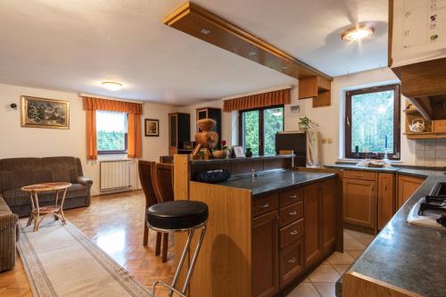 a kitchen with an island in the middle of a room at Apartment Satya in Dobrna
