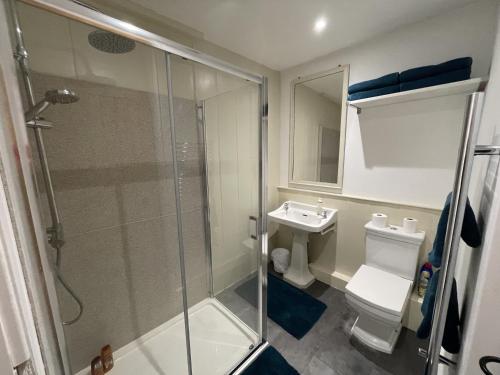 a bathroom with a shower and a toilet and a sink at Poplar Cottage Farnborough Kent in Orpington