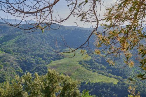 Tenuta Luogo Marchese – Photos 2