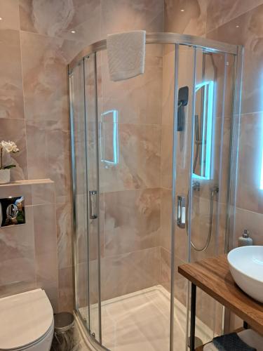 La salle de bains est pourvue d'une douche, de toilettes et d'un lavabo. dans l'établissement Casablanca Boutique Bed&Breakfast, à Zagreb