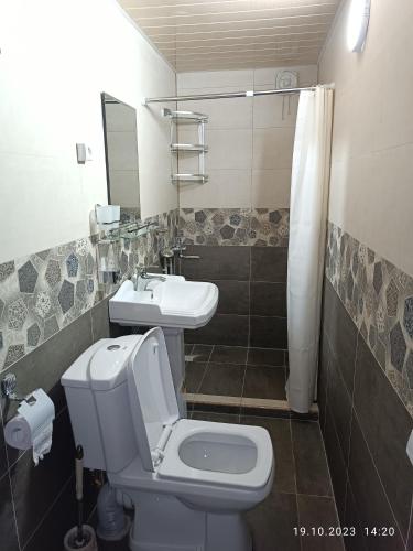 a bathroom with a toilet and a sink at INJIR Hostel in Dushanbe