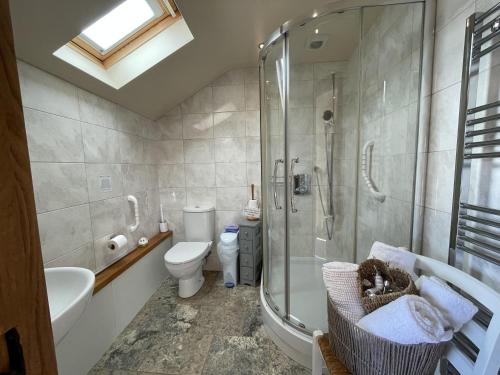 a bathroom with a shower and a toilet and a sink at The Shippon stunning views! in Winkleigh