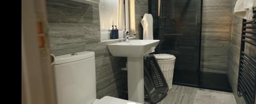 uma casa de banho com um lavatório e um WC em Lovely 1-Bed Lodge in Haverfordwest with views em Haverfordwest