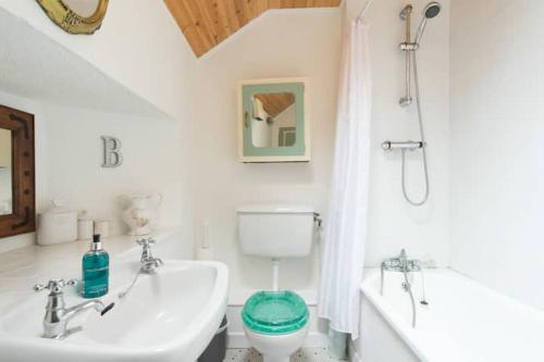 a bathroom with a sink and a toilet and a shower at Cosy & Comfy in Kinvara