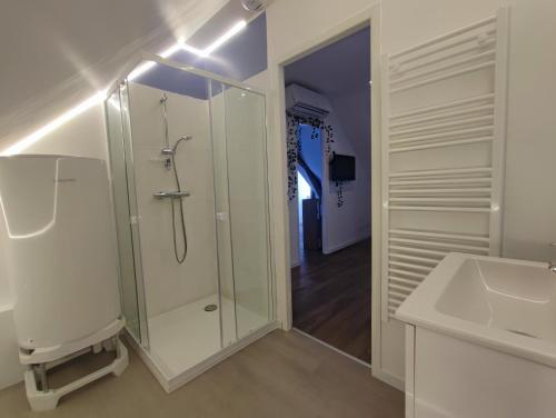 a bathroom with a shower and a sink at Edera in Saint-Aignan