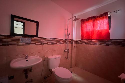 a bathroom with a toilet and a sink and a red window at Dinah's Pension House in Puerto Princesa City