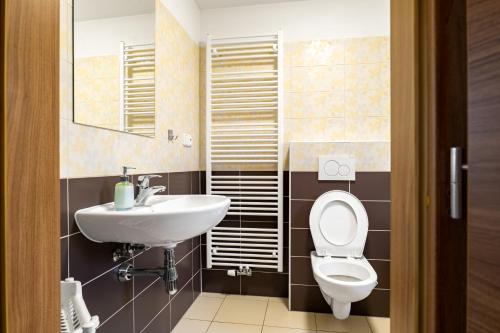a bathroom with a toilet and a sink at Apartmány Borská Plzeň in Plzeň