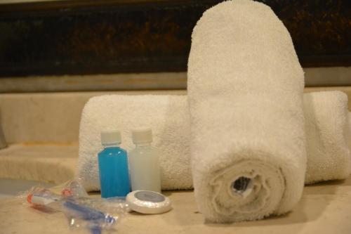 a roll of toilet paper and a bottle of soap at Emerald Gold Hotel in Baku