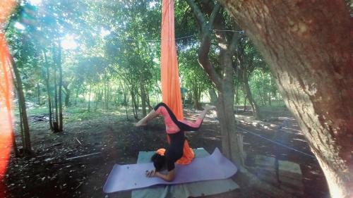 una mujer haciendo yoga en un columpio de árbol en Jungle Aerial Arts Namaste Camp, 