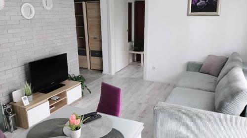 Μια τηλεόραση ή/και κέντρο ψυχαγωγίας στο Apartament na Kruczej