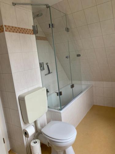La salle de bains est pourvue de toilettes et d'une douche en verre. dans l'établissement Fewo Urlaubsspaß, à Kalyves
