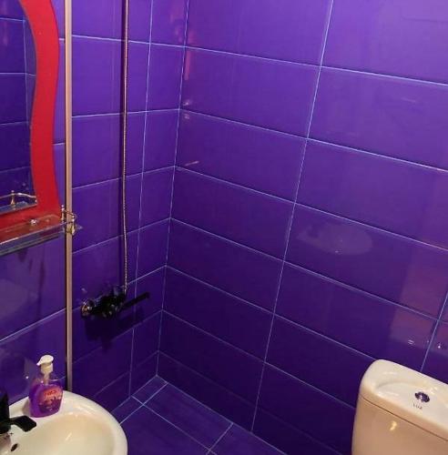 Four Season في تبليسي: حمام أرجواني البلاط مع مرحاض ومغسلة