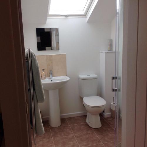 a bathroom with a toilet and a sink and a window at The Blacksmith's Shop in Port Isaac