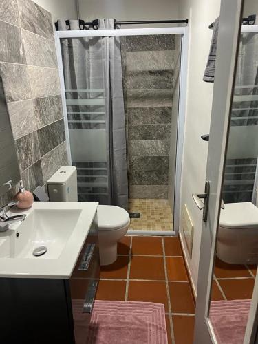 a bathroom with a toilet and a sink and a shower at Le Relais des Voyageurs in Fort-de-France