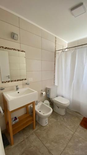 a bathroom with a sink and a toilet and a mirror at Las Cuatro Estaciones in Esquel