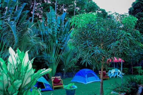 a garden with tents and trees and plants at Kindo Kicha Farmhouse in Moshi