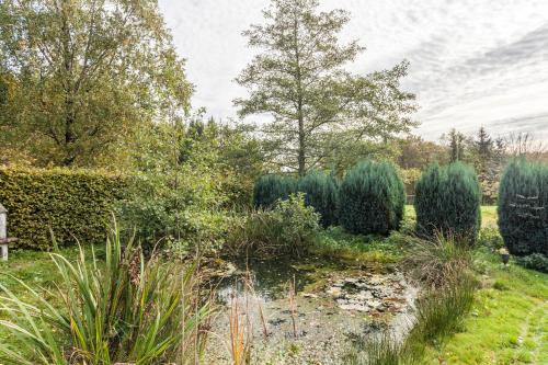 a garden with a pond and trees and bushes at Ferienwohnungen Zum Hasenbahnhof in Kirchhundem