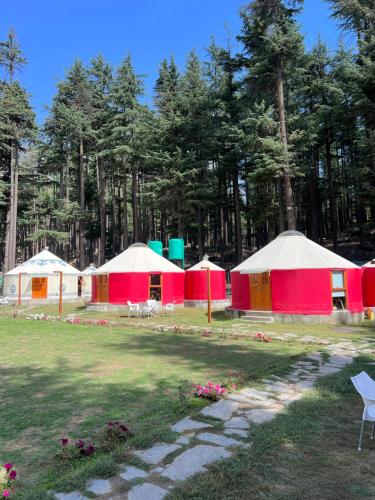 Fotografie z fotogalerie ubytování The Glamping Spot Kalam v destinaci Kalām