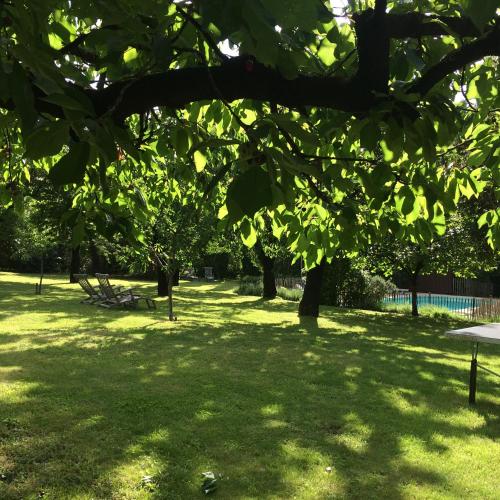 a park with green grass and trees in the shade at La Cerisaie - Chambres d'hôtes & gites in Riols
